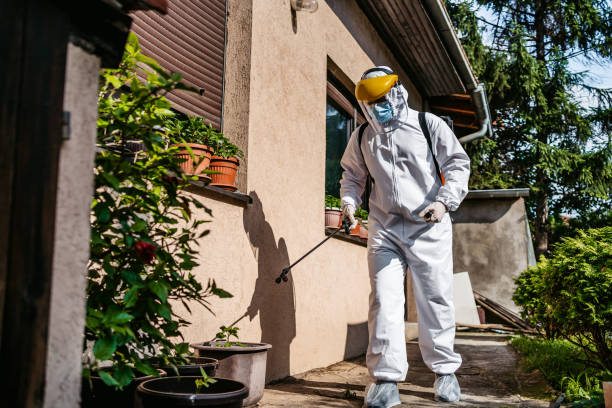Best Affordable Pest Control Services  in Rion Center, MA